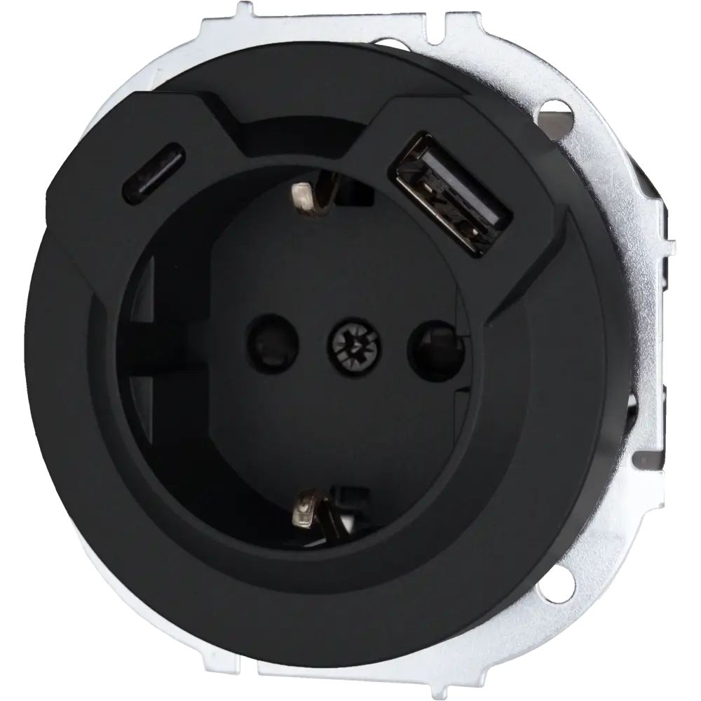 Розетка TC+USB встраиваемая Lezard Osen с заземлением цвет черный STLM-2029441 - Вид №1