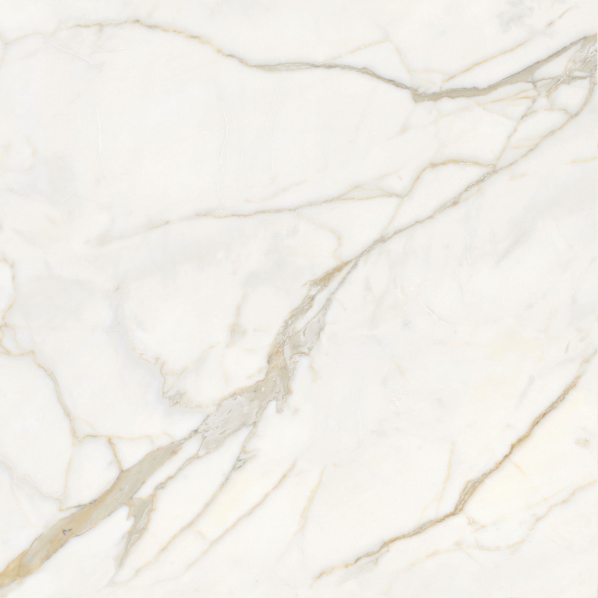 Пол / керамогранит с мраморным эффектом Italgraniti Marble Touch ARCH-00152884 - Вид №16