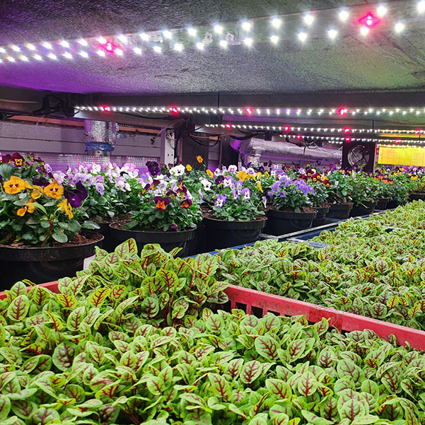 3553 Комплект Quantum line 115 см LAB.Space  - Вид №7