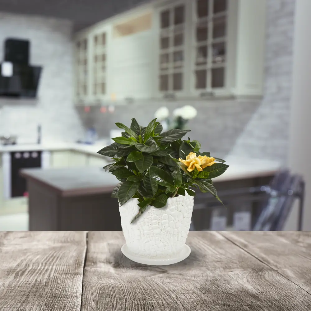 Santreyd Камешки — керамический горшок для цветов с дренажом 84450905 STLM-0050240 - Вид №3