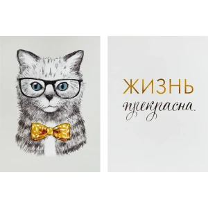 Постер Арт дизайн Коту виднее 30x40 см 2 шт. 84505632 STLM-2160418