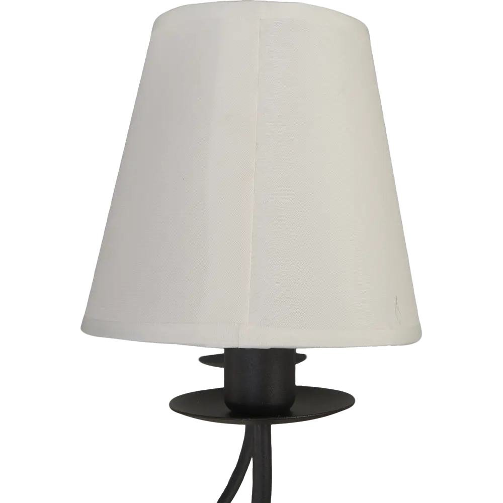 Люстра Нева 5xE14x60 Вт Maytoni STLM-2137671 - Вид №5