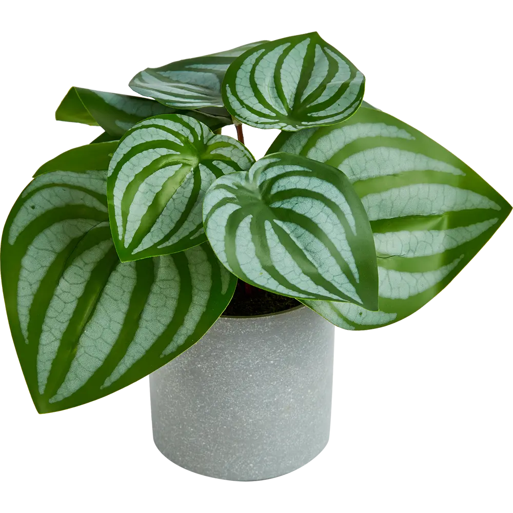 Искусственное растение в пластиковом горшке Atmosphera Калатея D17x18 см микс STLM-2147170