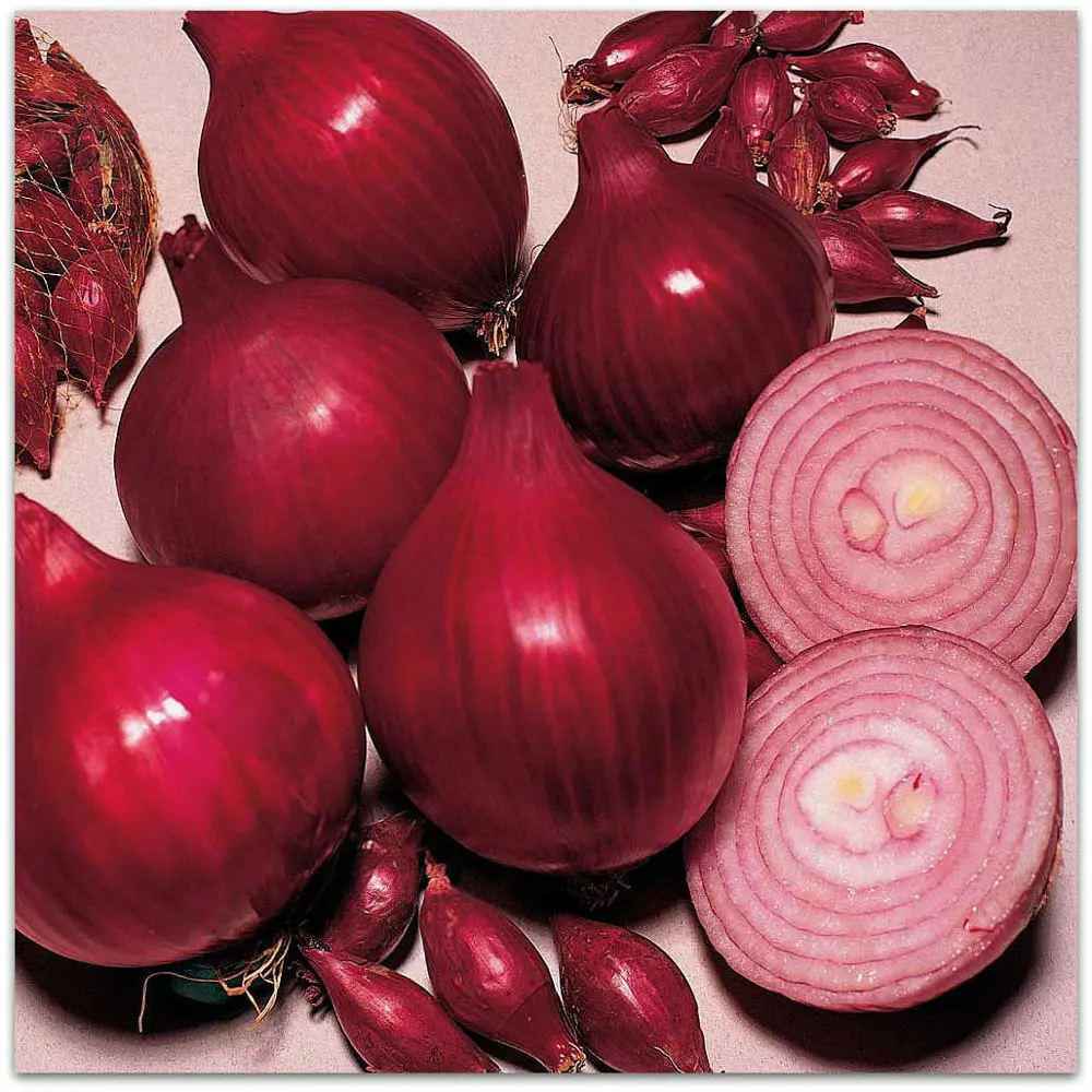 Лук-севок Кармен МС луковицы 8/21, 320 шт ПРЕСТИЖ СЕМЕНА STLM-2152969