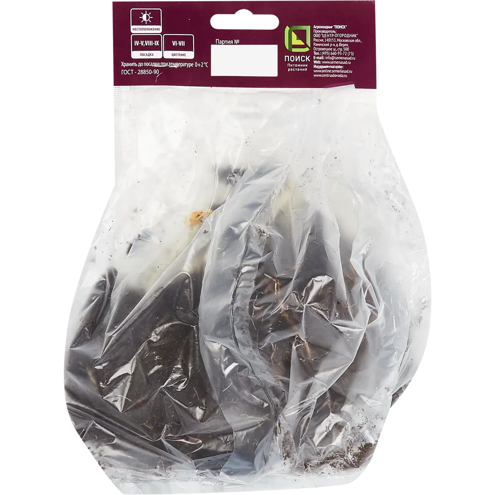 Астильба японская «Кобленц», размер луковицы I Santreyd STLM-2087331 - Вид №1