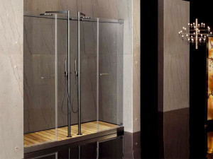 2-местный стеклянный нишевый душ