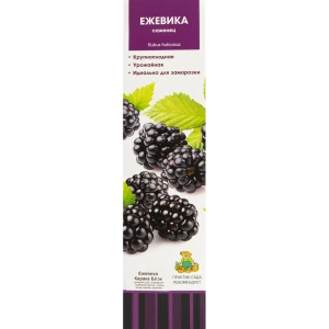 Ежевика Карака Блэк в тубе Поиск Инвест 82528991 STLM-2063079