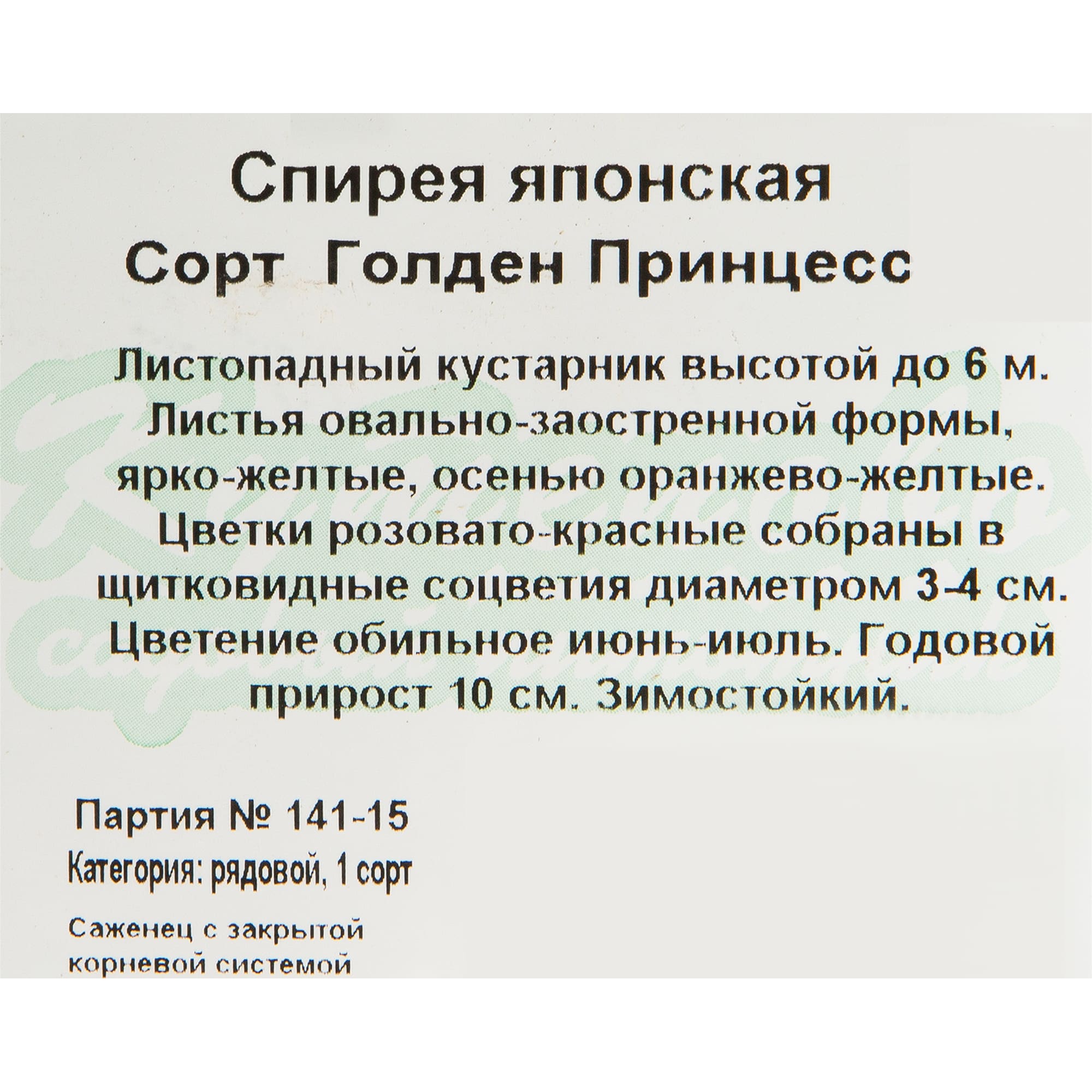 82594831 Спирея «Голден Принцесс» 15x20 см Santreyd  - Вид №1