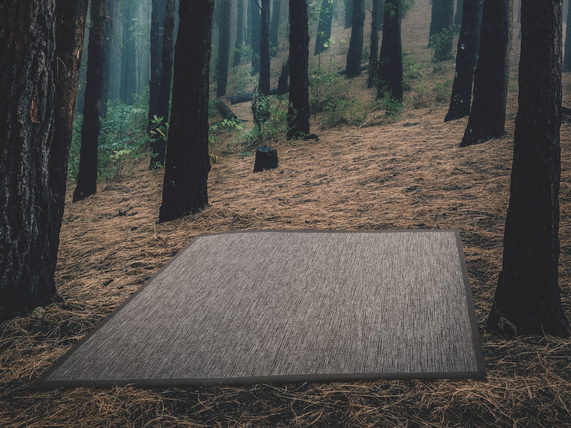 Напольный ковер DRIGANI OUTDOOR CARPETS ARCH-00045652 - Вид №1