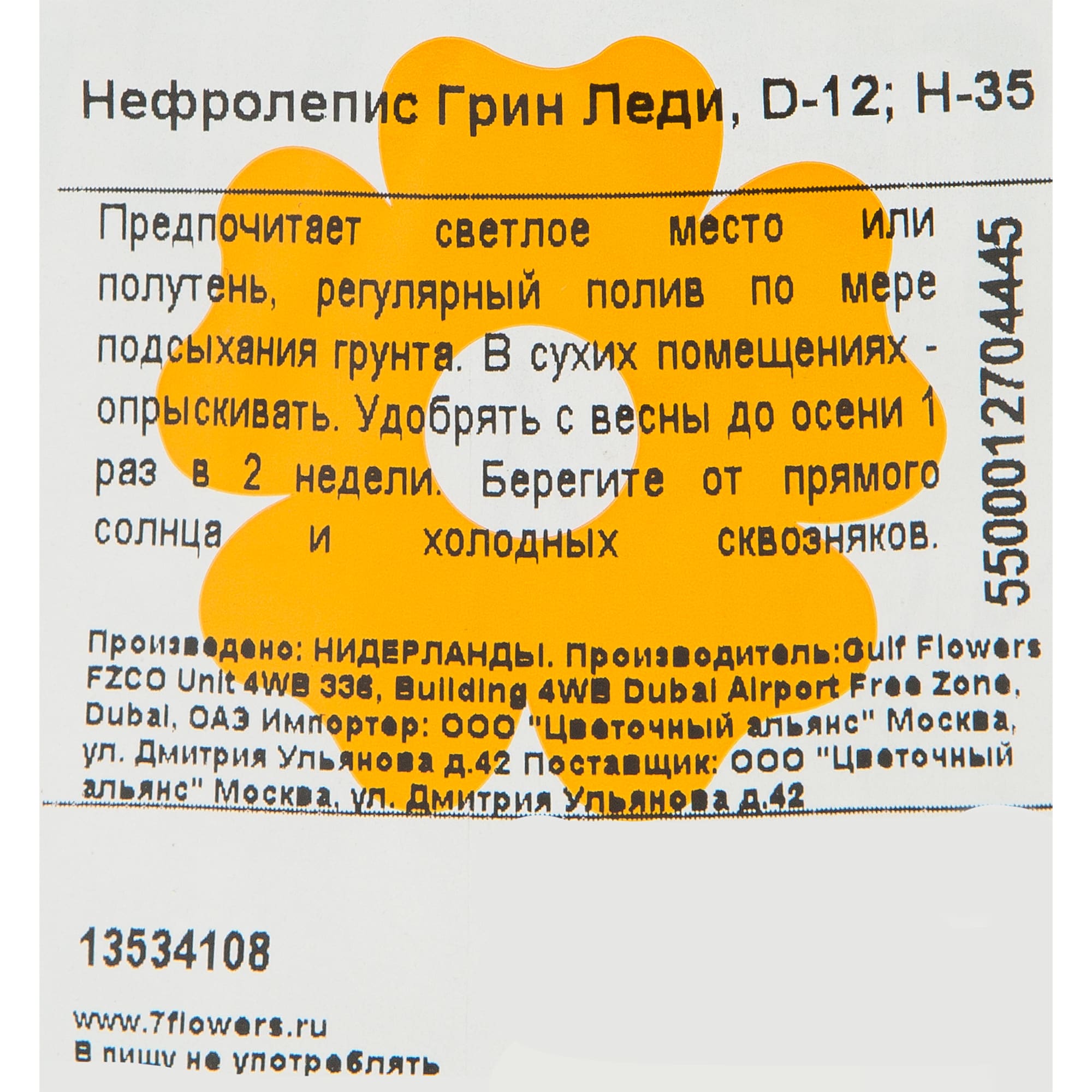 13534108 Нефролепис Грин Леди 12х37 см Santreyd  - Вид №2