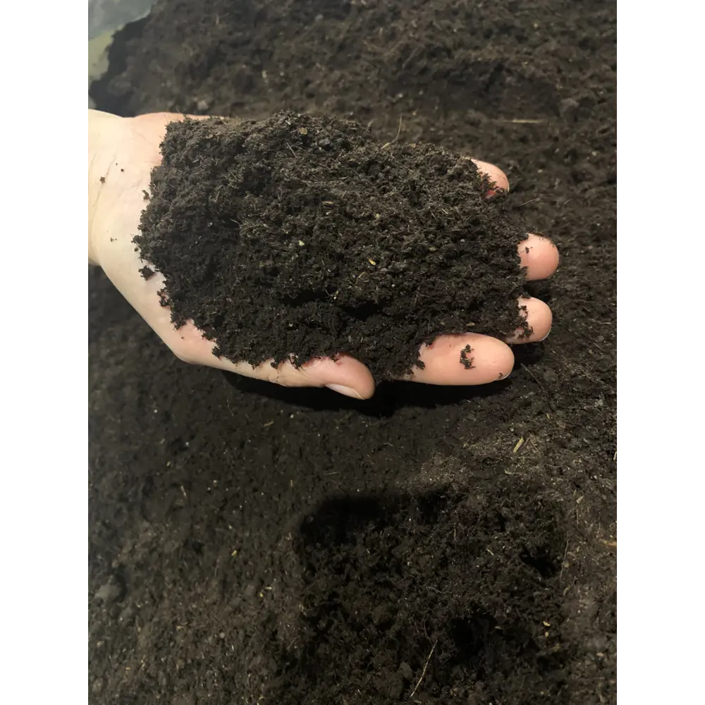 Грунт BEGINIA для рассады 25 л - питательная основа для здоровых растений 89404738 STLM-1578234 - Вид №4