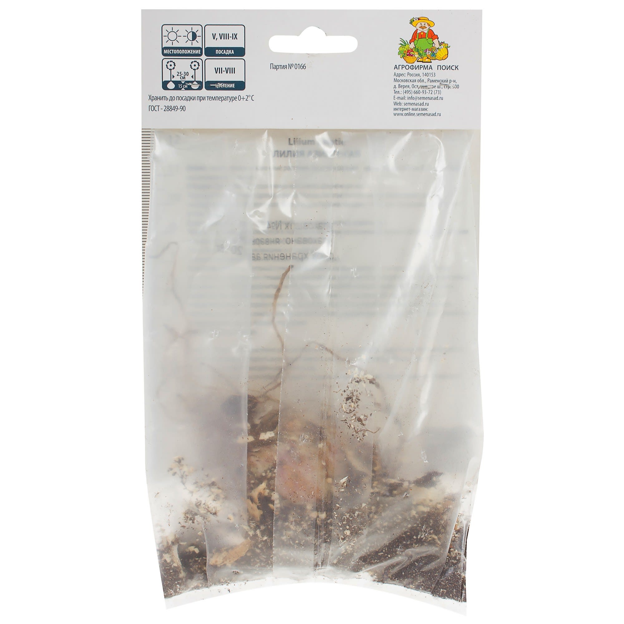 81945464 Лилия азиатская Танго «Патриция Прайд» Santreyd  - Вид №1