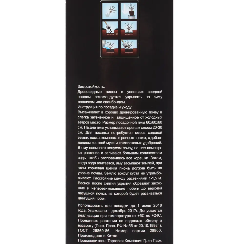 Пион древовидный «Коралловый остров» (в тубе) 81948479 STLM-2183651 Santreyd  - Вид №2