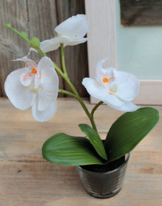 2446 778 a3 Искусственная орхидея Фаленопсис в стеклянном горшке, 24 см, бежево-белая H-andreas