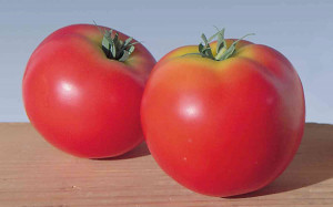 7261 444 a2 Искусственный помидор, 6 см, красный H-andreas