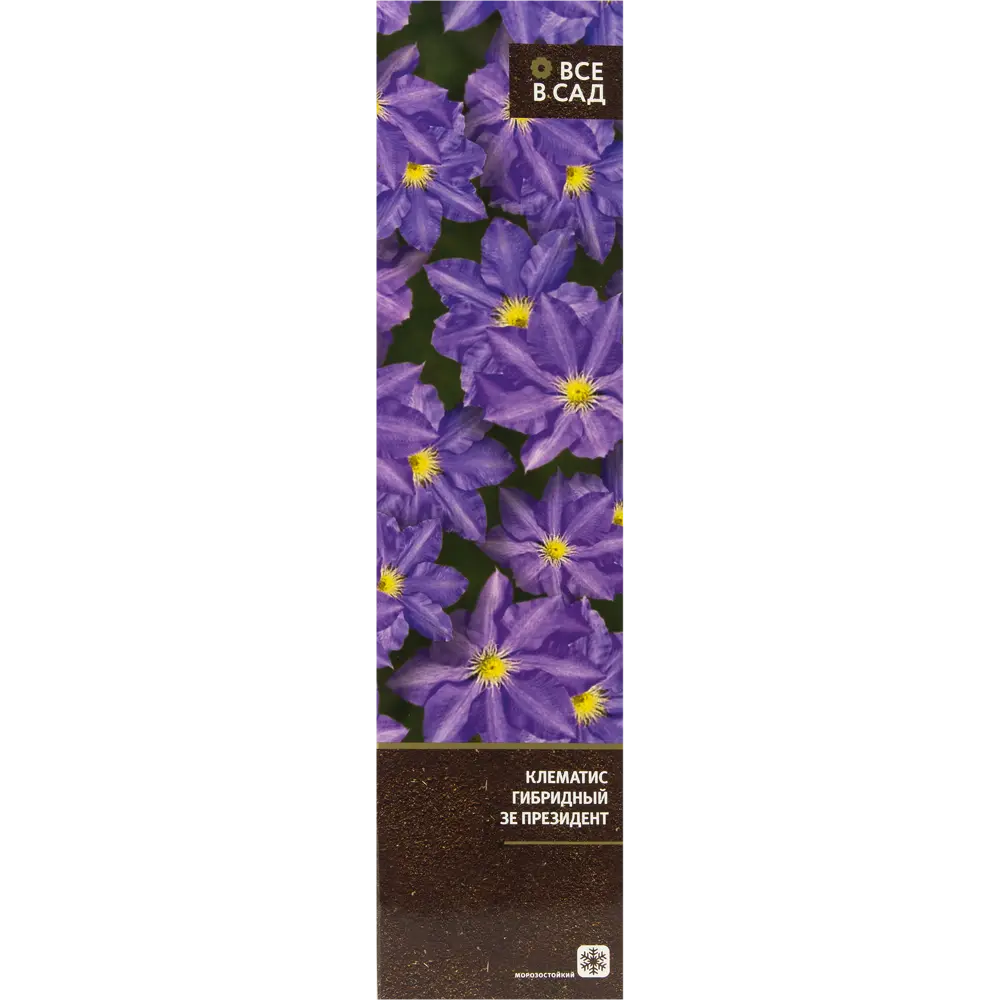 Клематис гибридный Зе Президент в тубе ВСЕ В САД STLM-2148346