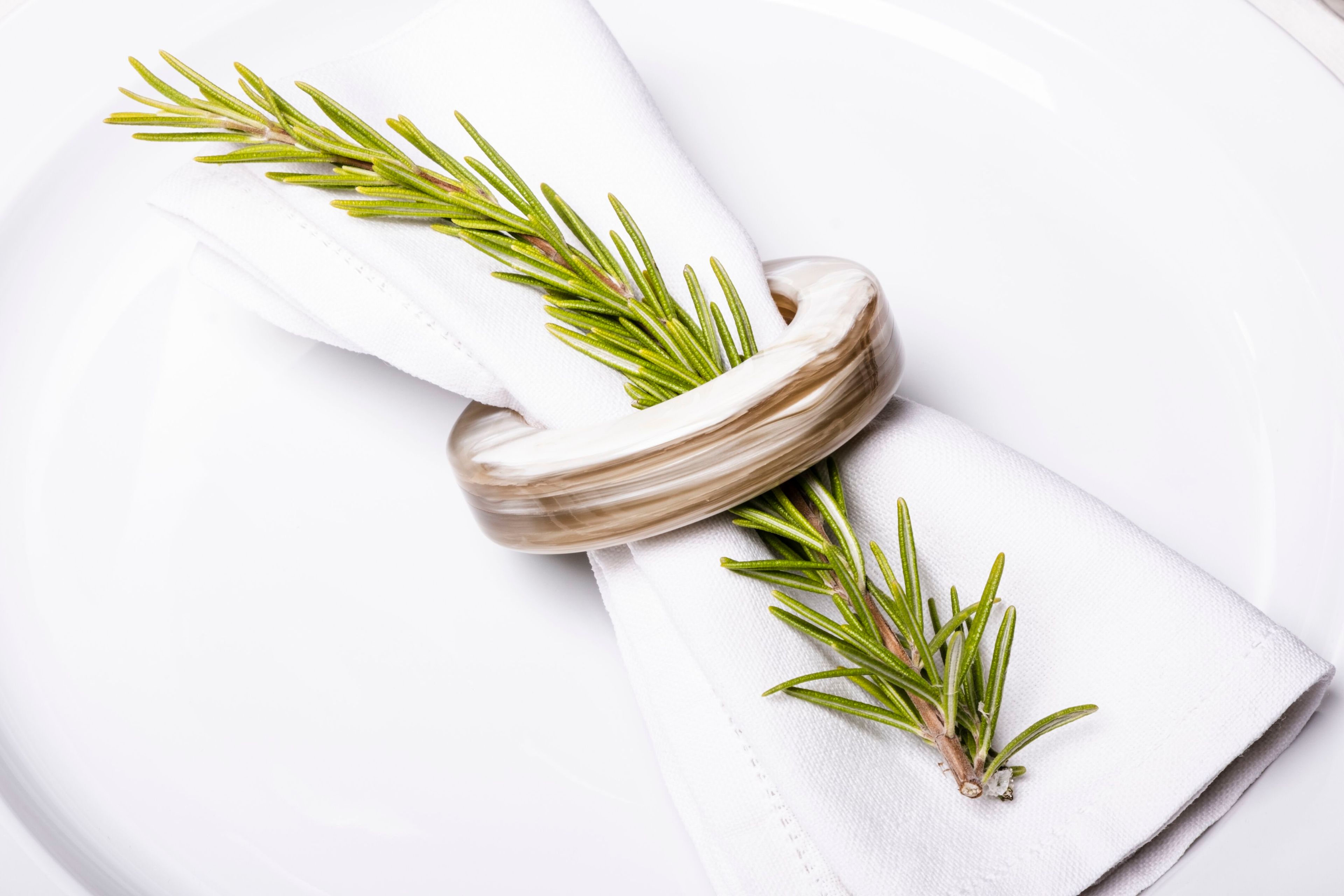 6шт Рог держатель для салфеток набор Zanchi 1952 PZHLV111BB ARCH-00134257 - Вид №3