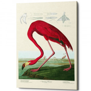 6111251_2628 Картина «Американский фламинго» (холст, галерейная натяжка) Object Desire