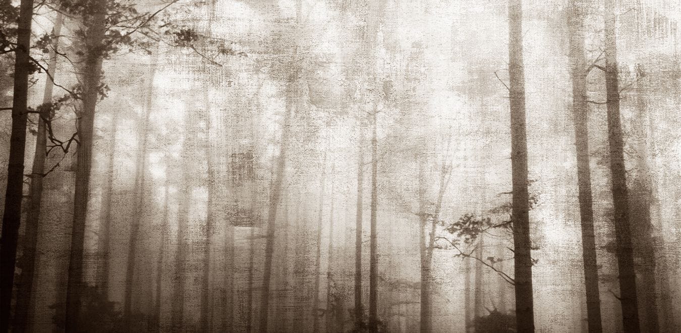 Моющиеся нетканые обои Creativespace Prêt-à-porter ARCH-00078115 - Вид №1