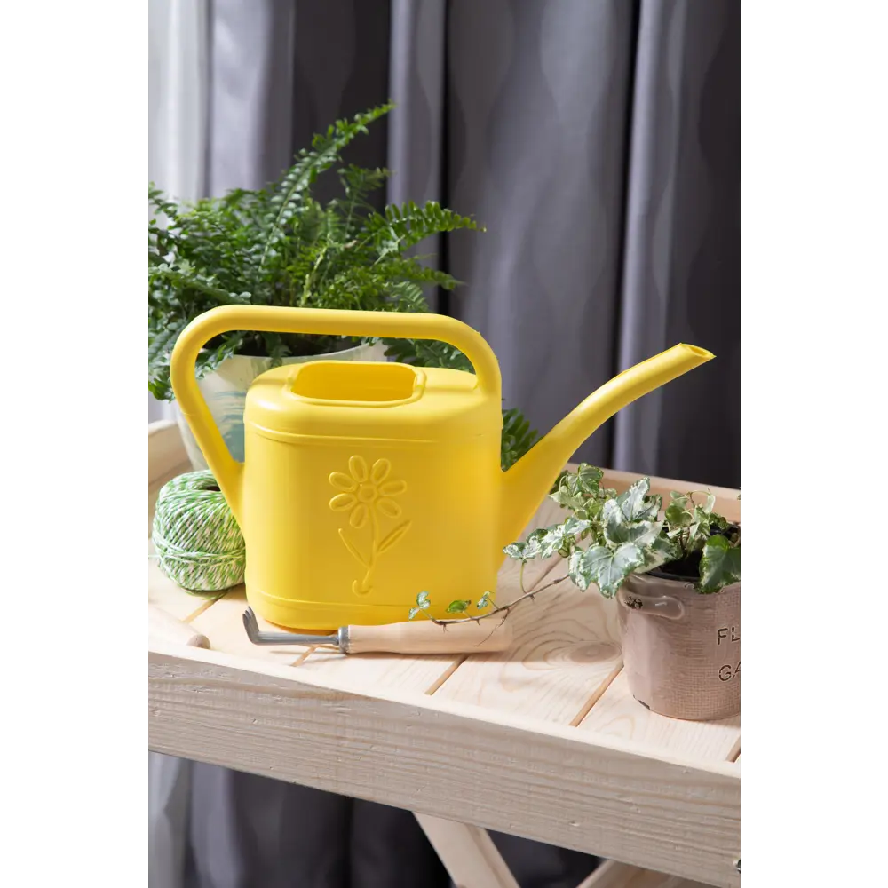 Лейка для комнатных растений 2 л Santreyd STLM-2194074 - Вид №1