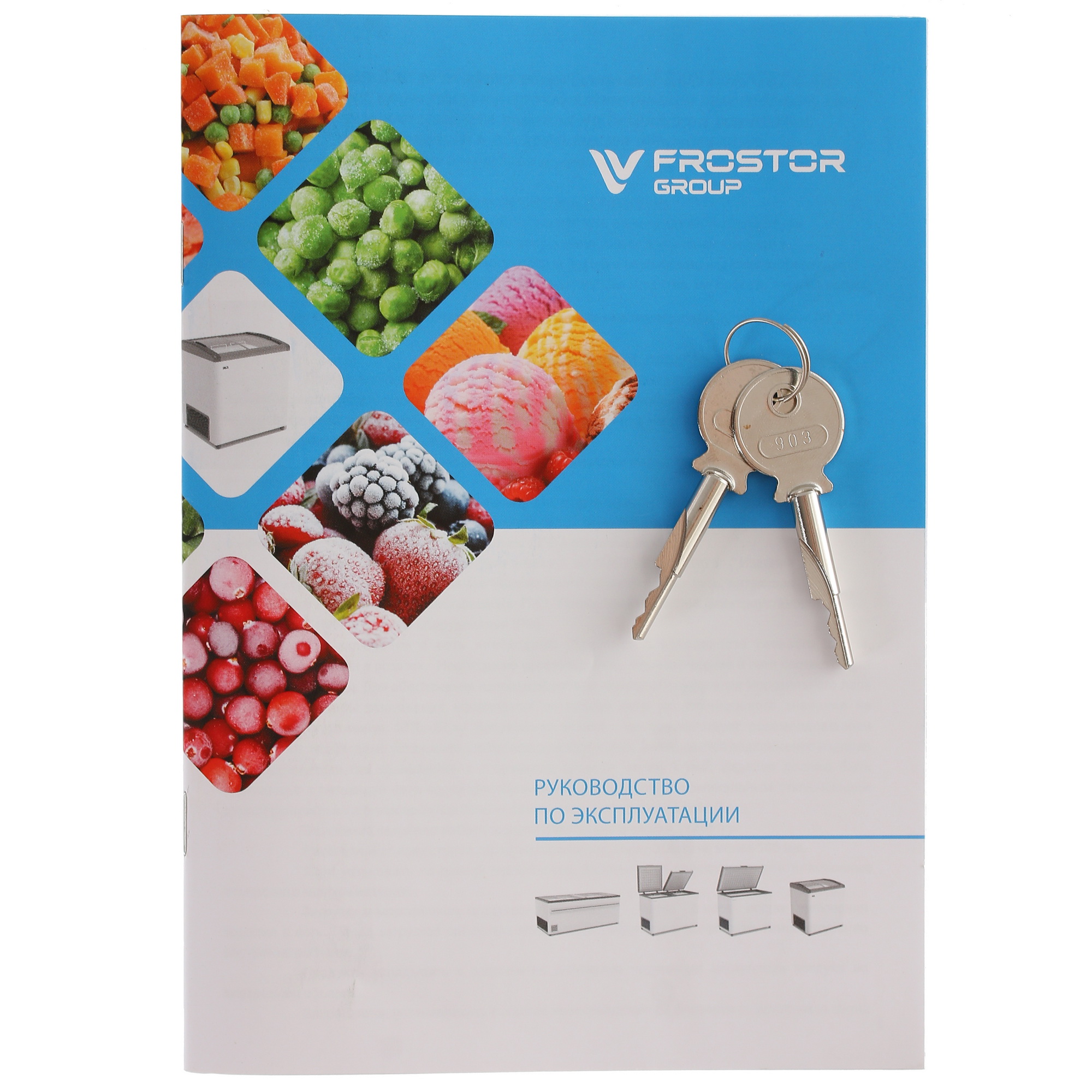 1229603 Морозильный ларь Frostor Gellar FG 275 E белый, синий STDN-0113331 - Вид №7