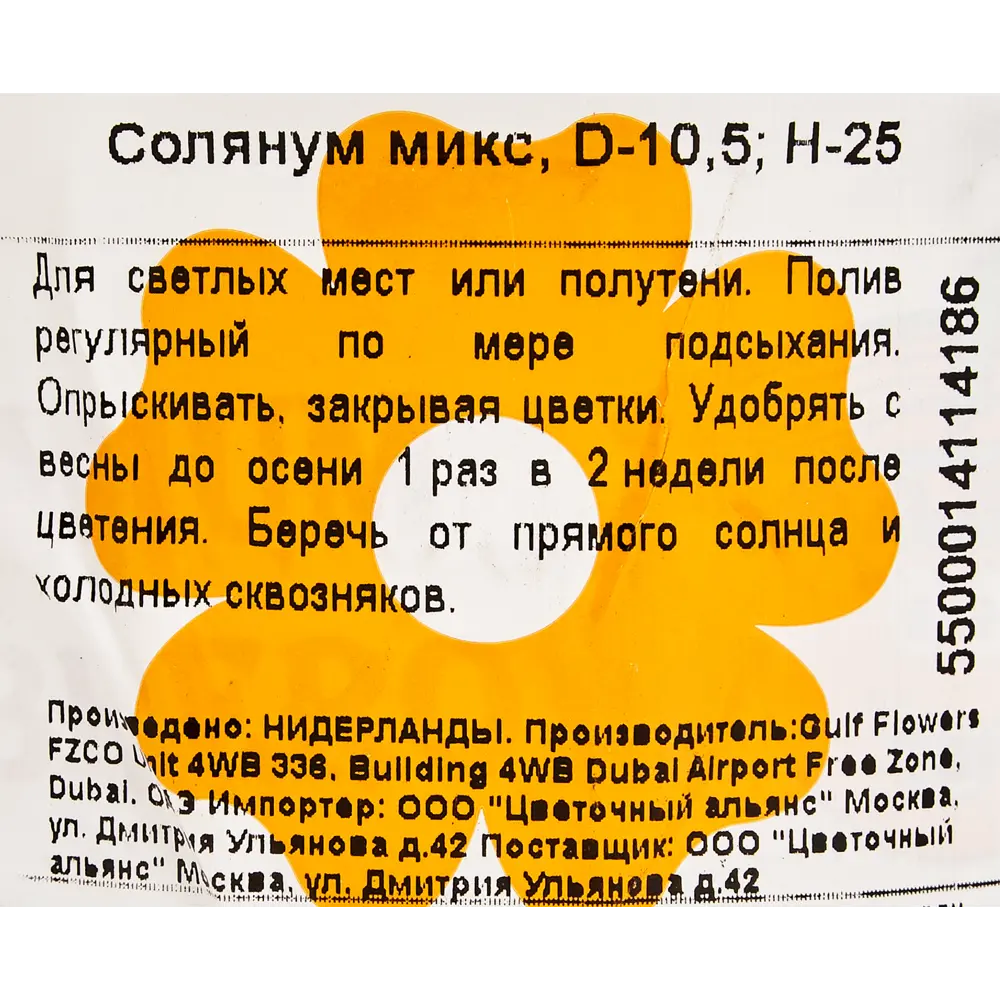 Солянум микс 10.5x25 см Santreyd STLM-2205983 - Вид №2