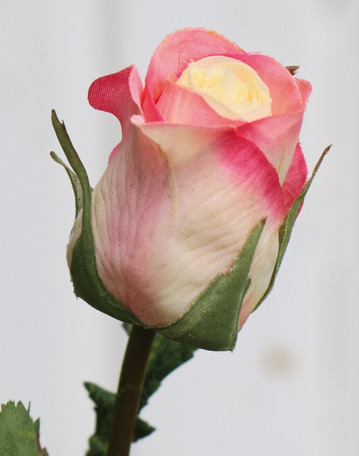 3248 755 a2 Искусственные бутоны роз, 75 см, бежево-розовые H-andreas  - Вид №2