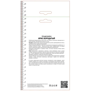 Ирис бородатый Блашинг Пинк 89452264 STLM-2004447