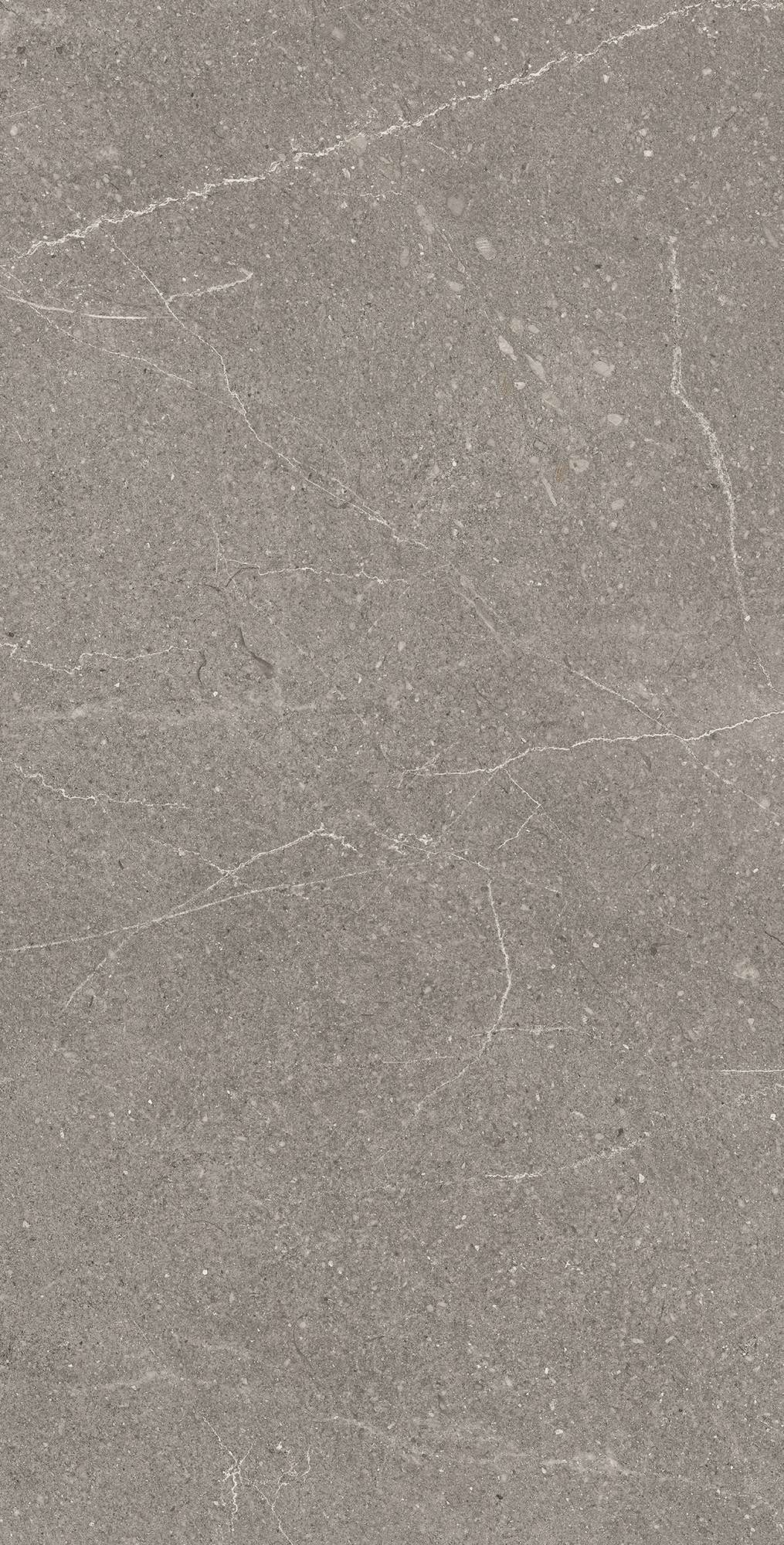 Керамогранит EQUISTONE GRAPHITE 60х120 Arcadia Ceramica RG6002-A - Вид №2