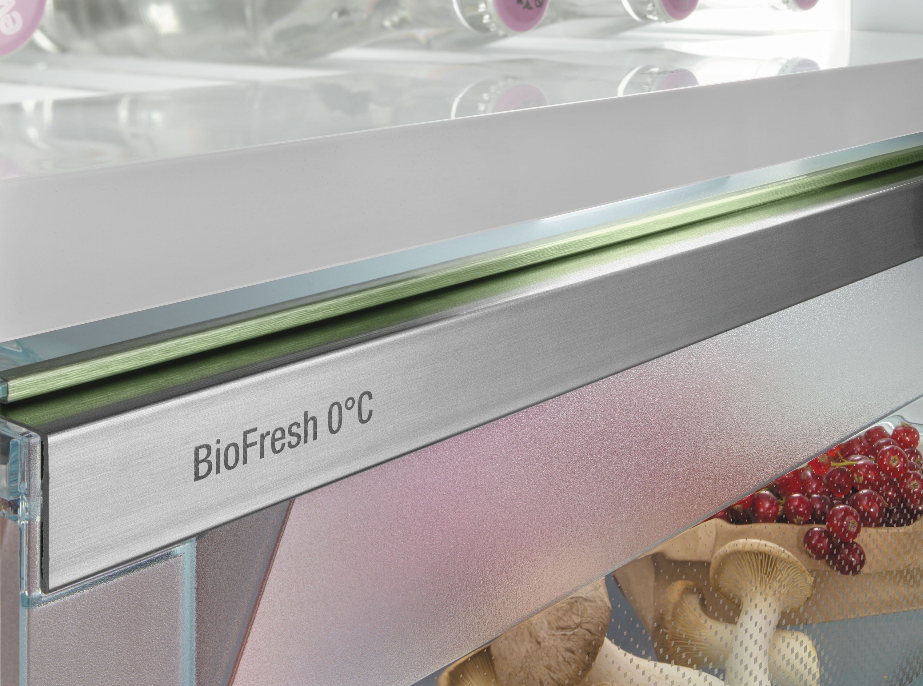 5465674 Встраиваемый холодильник Liebherr ICBNSd 5123-22 001 STDN-0003262 - Вид №15