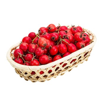 Боярышник ~700 г Santreyd 28558