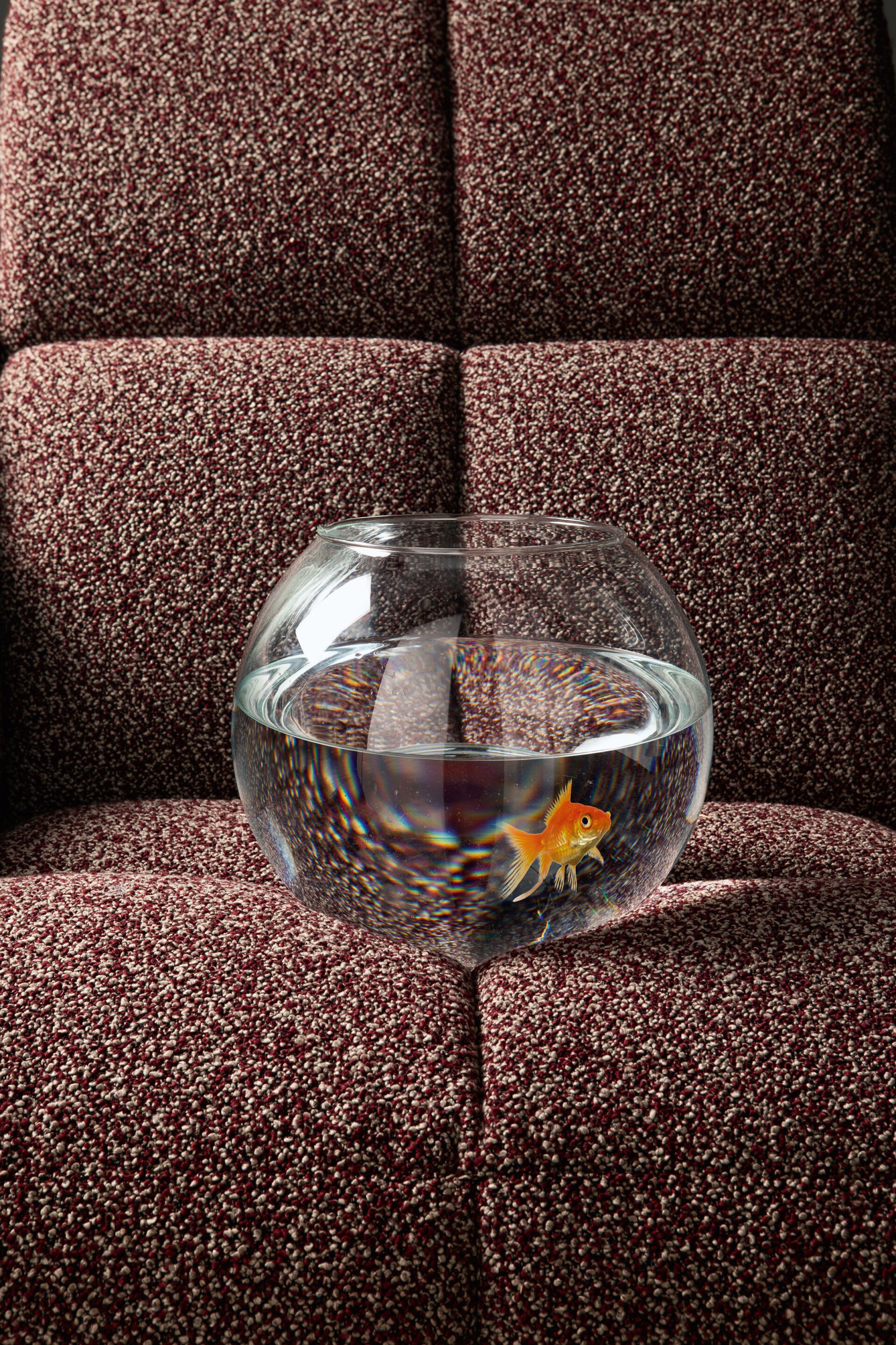 Тканевый диван с откидной спинкой AERRE ITALIA виноград ARCH-00032321 - Вид №2