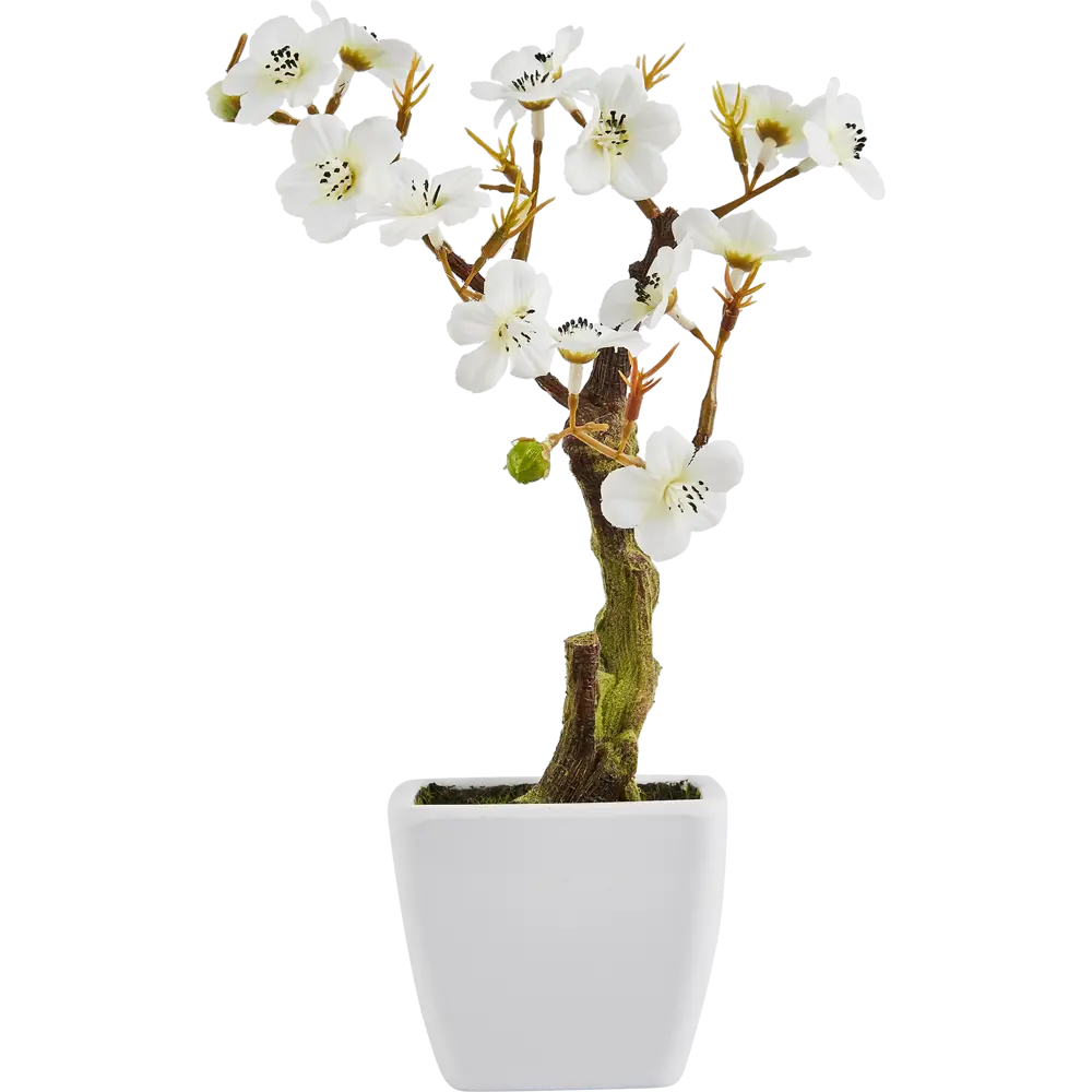 Декоративное растение Atmosphera Вишня 18x18x26 см STLM-2002969 - Вид №2