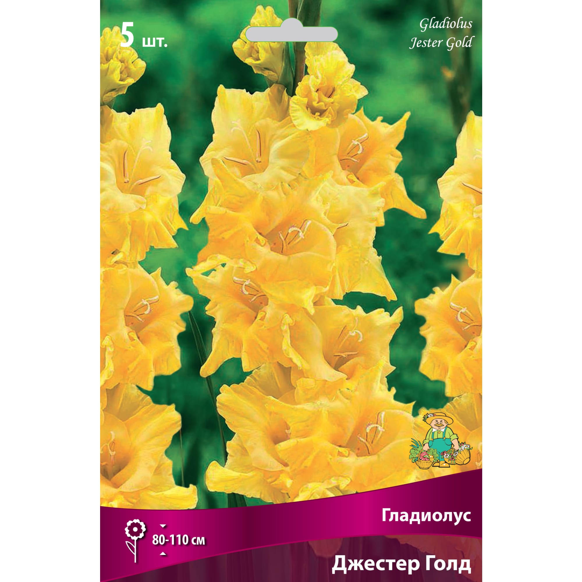 83596649 Гладиолус крупноцветковый Джестер Голд луковица 12/14 Santreyd 