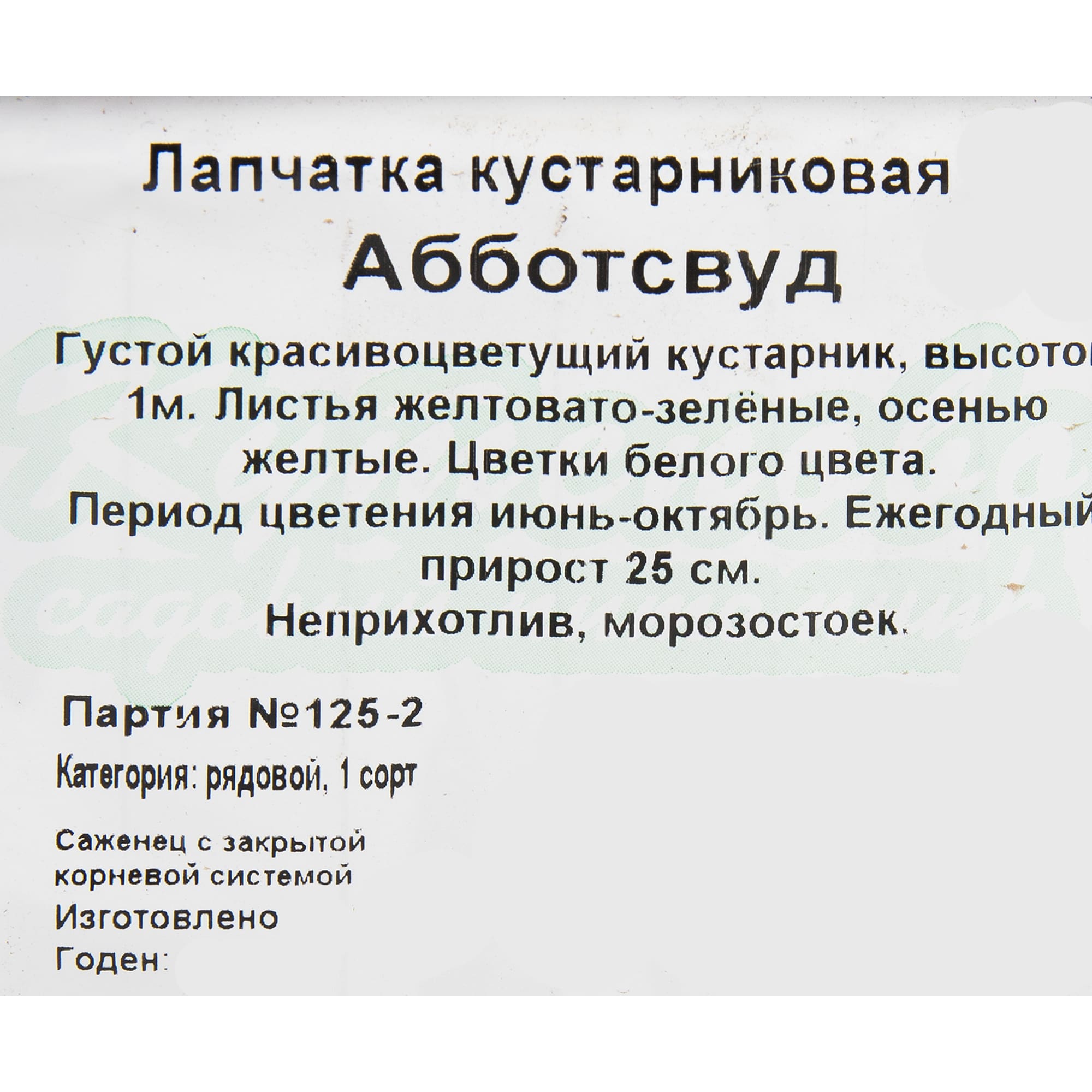 82595156 Лапчатка «Абботсвуд» 15x30 см Santreyd  - Вид №1