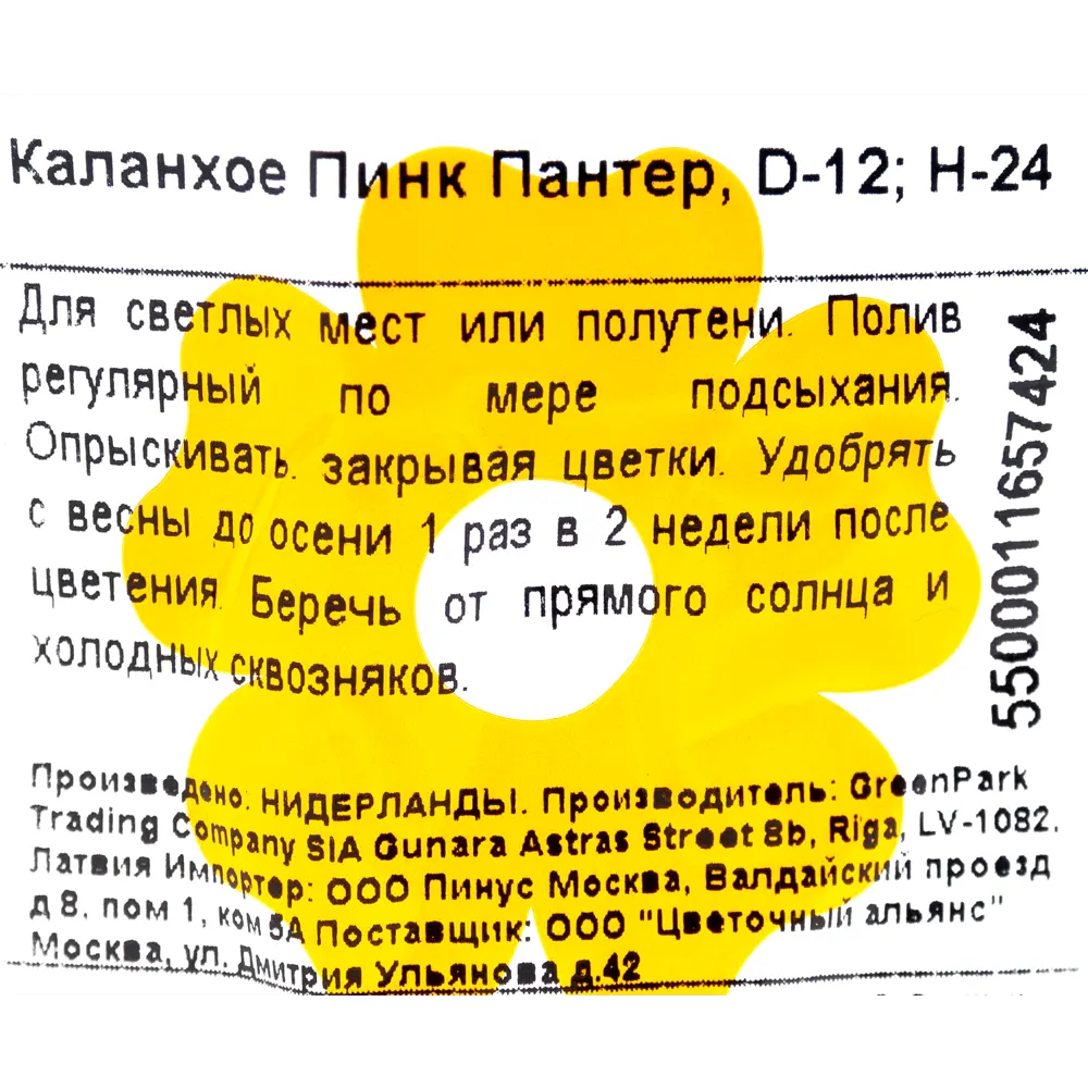 Каланхое «Пинк Пантер», 24х12 см 17685579 STLM-2194112 Santreyd  - Вид №2