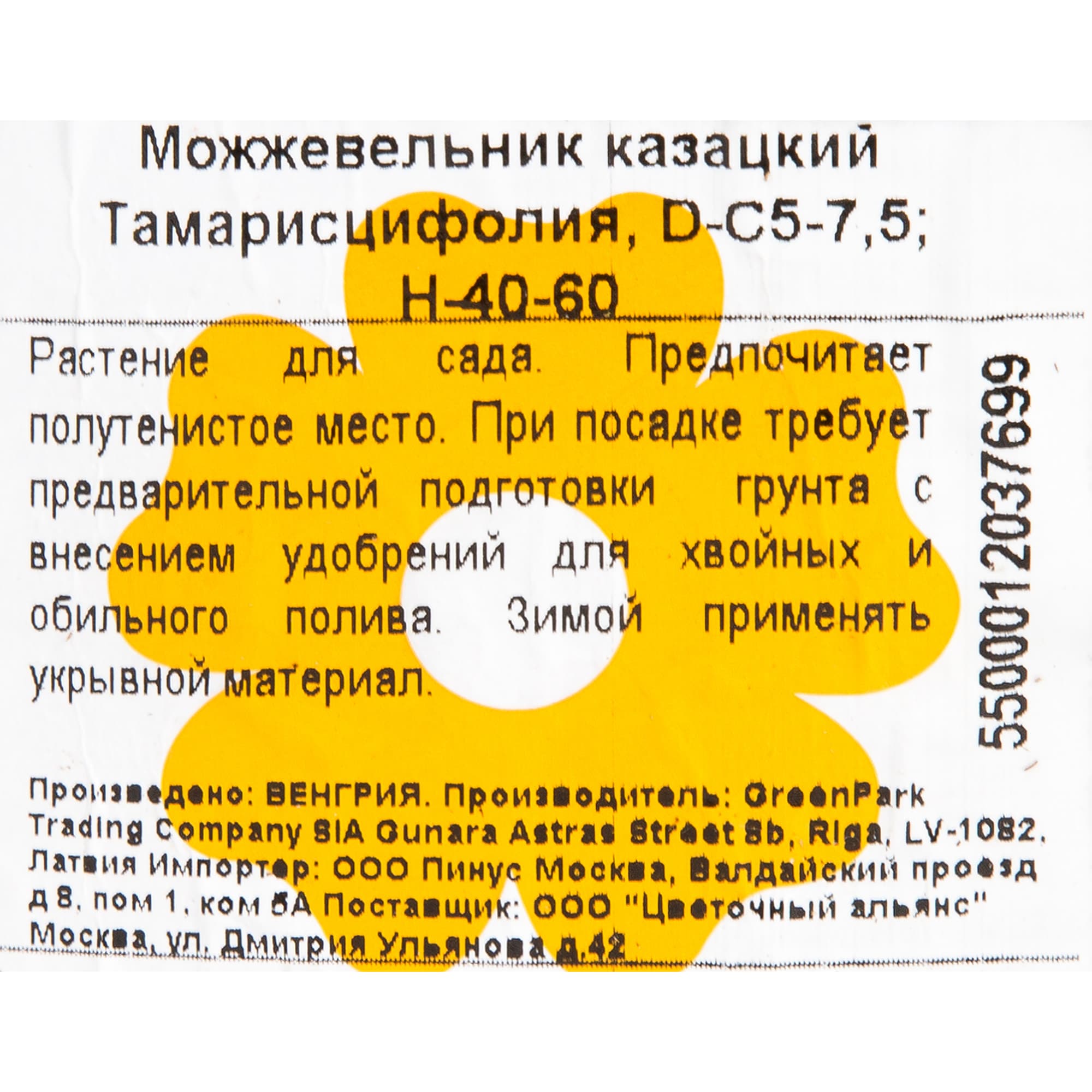 82176359 Можжевельник казацкий «Тамарисциф» 5-7.5 л 40 см Santreyd  - Вид №1