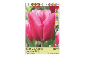 18441229 Луковица Тюльпан Джамбо Пинк 10/11 розовый, 5 шт. 37072 HBM