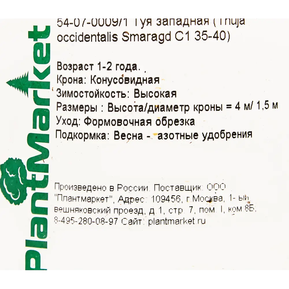 Туя западная Смарагд С1/35-40 см 18470140 STLM-2113397 PLANTMARKET  - Вид №1