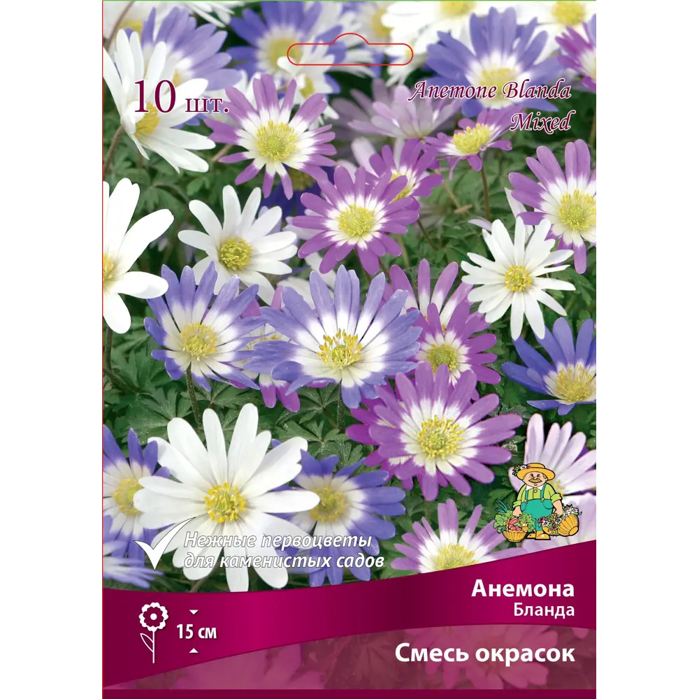 Анемона Бланда микс ПОИСК - многолетние луковицы для весеннего сада 89381281 STLM-1449584 - Вид №1