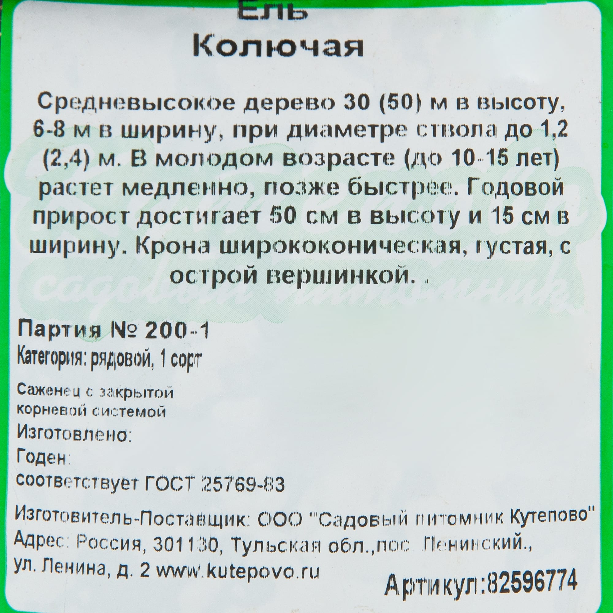 82596774 Ель колючая 15x40 см Santreyd  - Вид №1