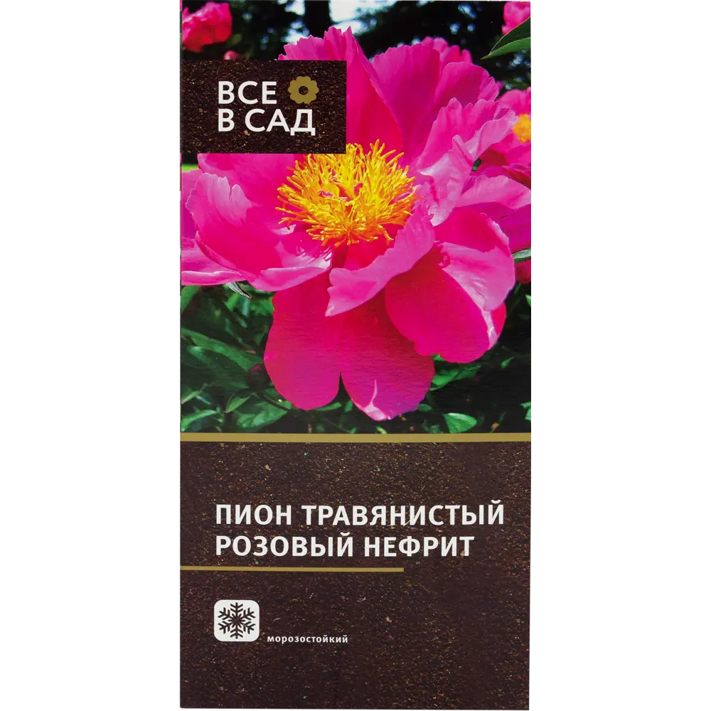 Пион травянистый Розовый нефрит, Красный 15612907 STLM-2048124 Santreyd  - Вид №1