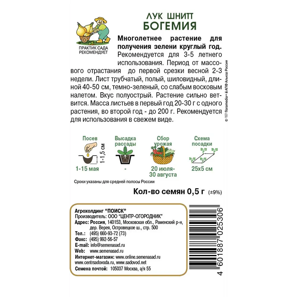 Семена лука шнитт Богемия для выращивания свежей зелени 89401248 ПОИСК STLM-1564996 - Вид №1