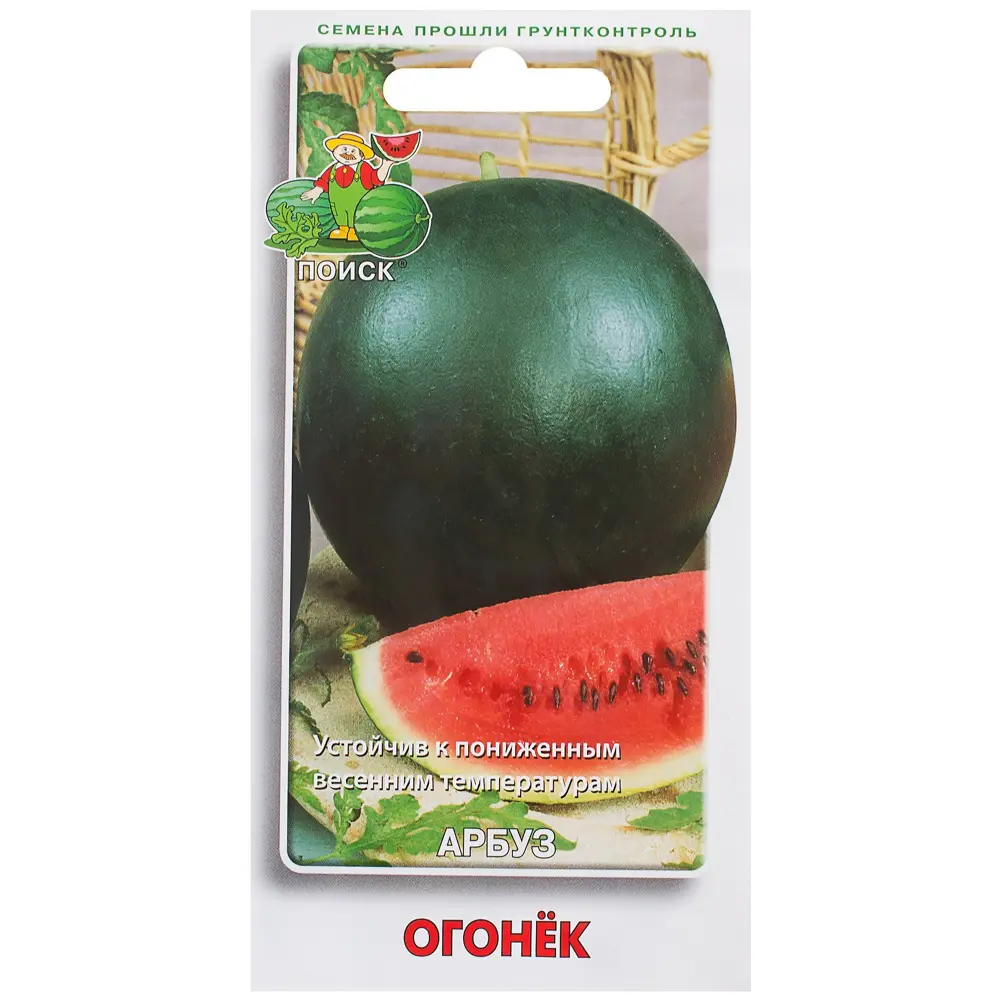 Семена Арбуз «Огонёк» ПОИСК STLM-2120755