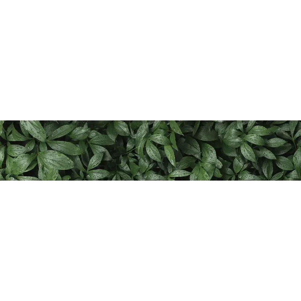 Стеновая панель Botanical Gar 300x0.4x60 см алюминий цвет зеленый ALUMOART STLM-2079049