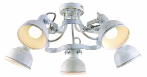 Потолочная люстра Arte Lamp Martin A5216PL-5WG ARTE LAMP ДИЗАЙНЕРСКИЕ, MARTIN 059034 Белый