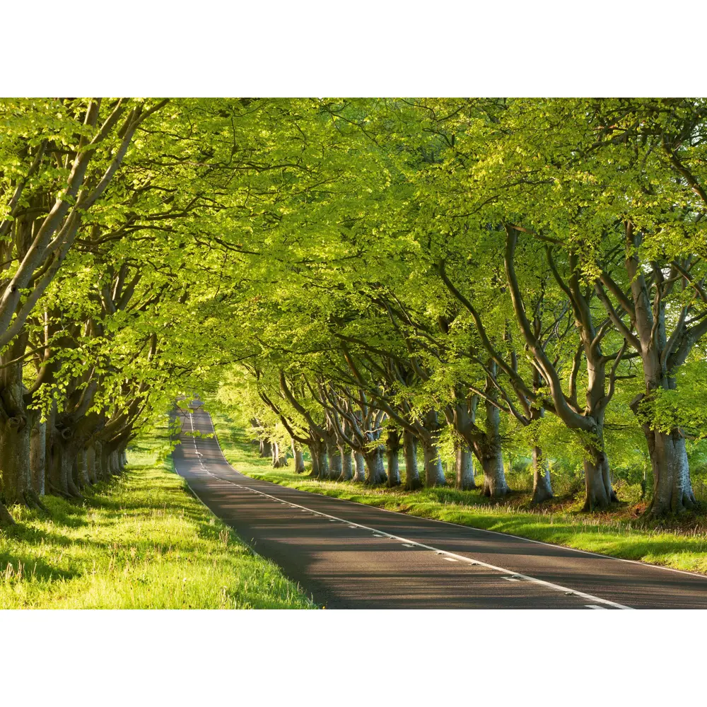 Фотообои бумажные «Чувство весны» 254х184 см POSTERMARKET STLM-2012588