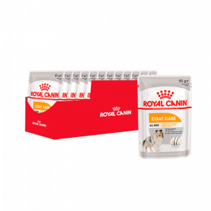ПР0049773*12 Корм для собак Coat Care для тусклой и сухой шерсти паштет пауч 85г (упаковка - 12 шт) ROYAL CANIN