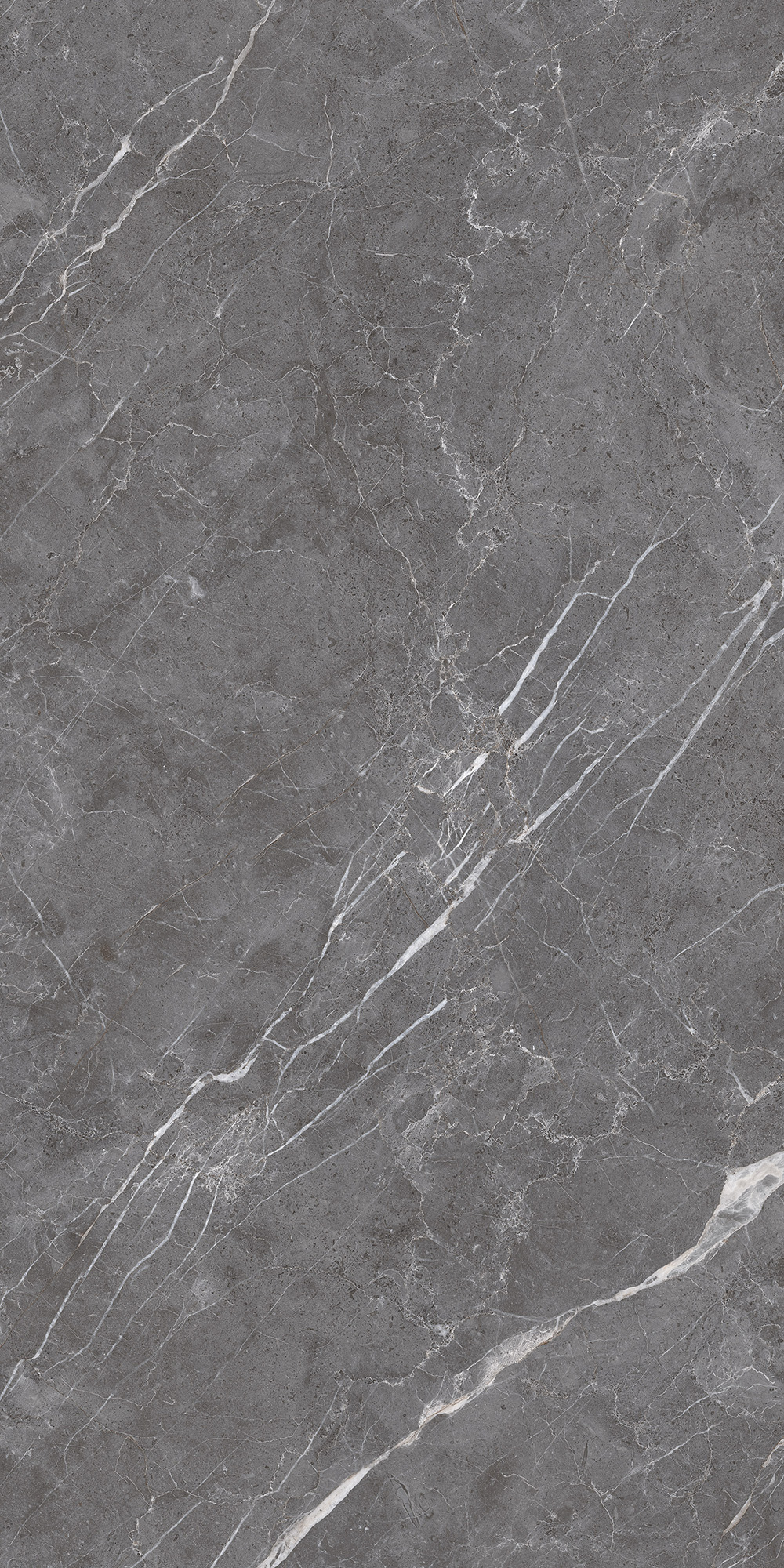 Керамогранит ESPERIA GRIGIO LAPPATO 60х120 Arcadia Ceramica CL4003-A - Вид №5