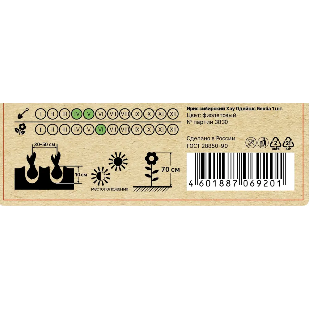 Ирис Geolia сибирский Хау Одейшс STLM-2167230 - Вид №4